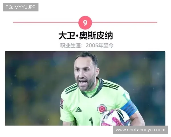 2017年退役的足球明星们回顾他们辉煌的职业生涯与未来发展方向