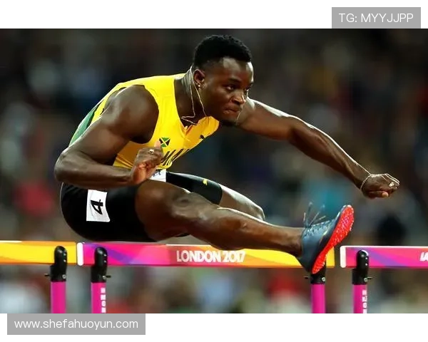 全球足球明星汇总图标展示各国球员风采与成就